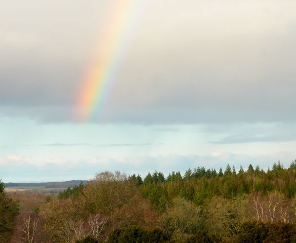 rainbow over Farley Mount